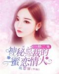 一婚二宠神秘总裁的蜜恋情人