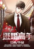 逃婚高手免费全文阅读