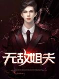 无敌姐夫苏冰颜