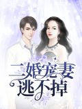 二婚宠妻逃不掉叶非墨