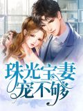 珠光宝妻宠不够TXT下载