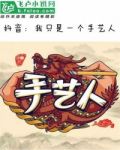 抖音:我只是一个手艺人txt