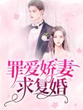 罪爱娇妻求复婚