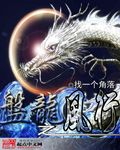 盘龙之风行 小说