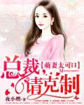 小说萌妻太可口总裁请克制