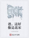 爸,这好像是北宋 小说